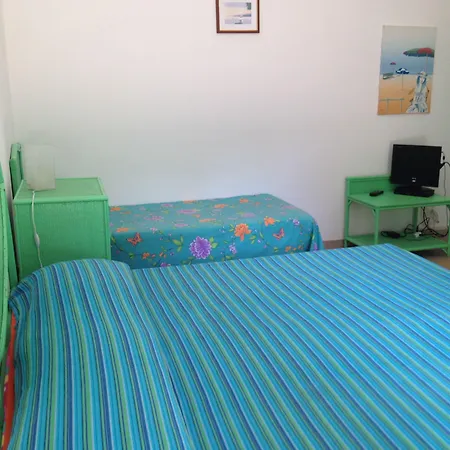 乡村民宿 鲁拉利亚乡村民宿 *