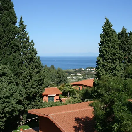 鲁拉利亚乡村民宿 乡村民宿 *