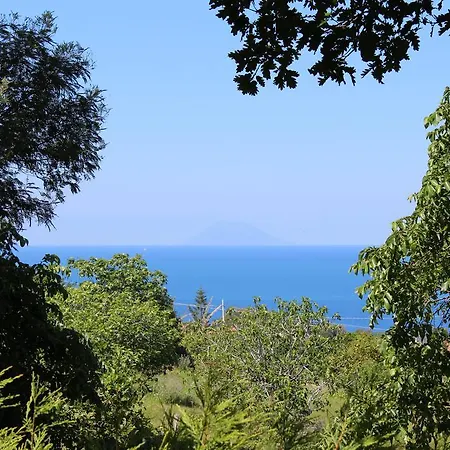 鲁拉利亚乡村民宿 乡村民宿 *