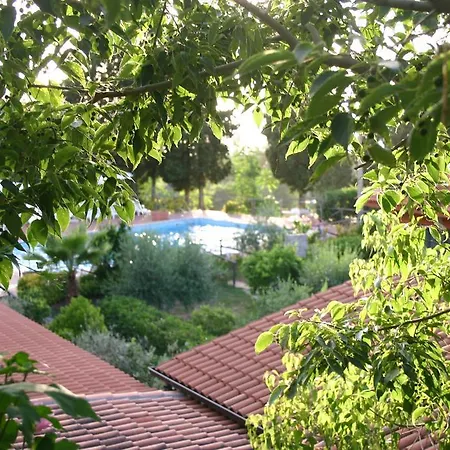 鲁拉利亚乡村民宿 乡村民宿 *