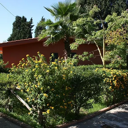 鲁拉利亚乡村民宿