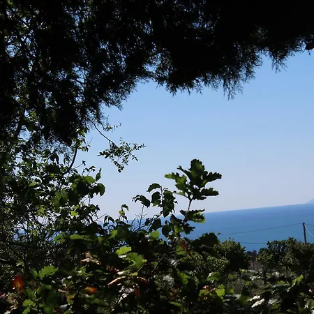 鲁拉利亚乡村民宿 乡村民宿 *