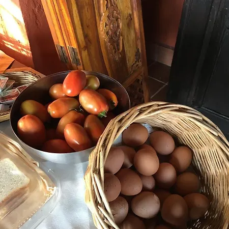 Ruralia Venkovský dům Santa Domenica (Vibo Valentia)