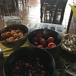 Country house Ruralia