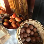 Country house Ruralia Santa Domenica (Vibo Valentia)